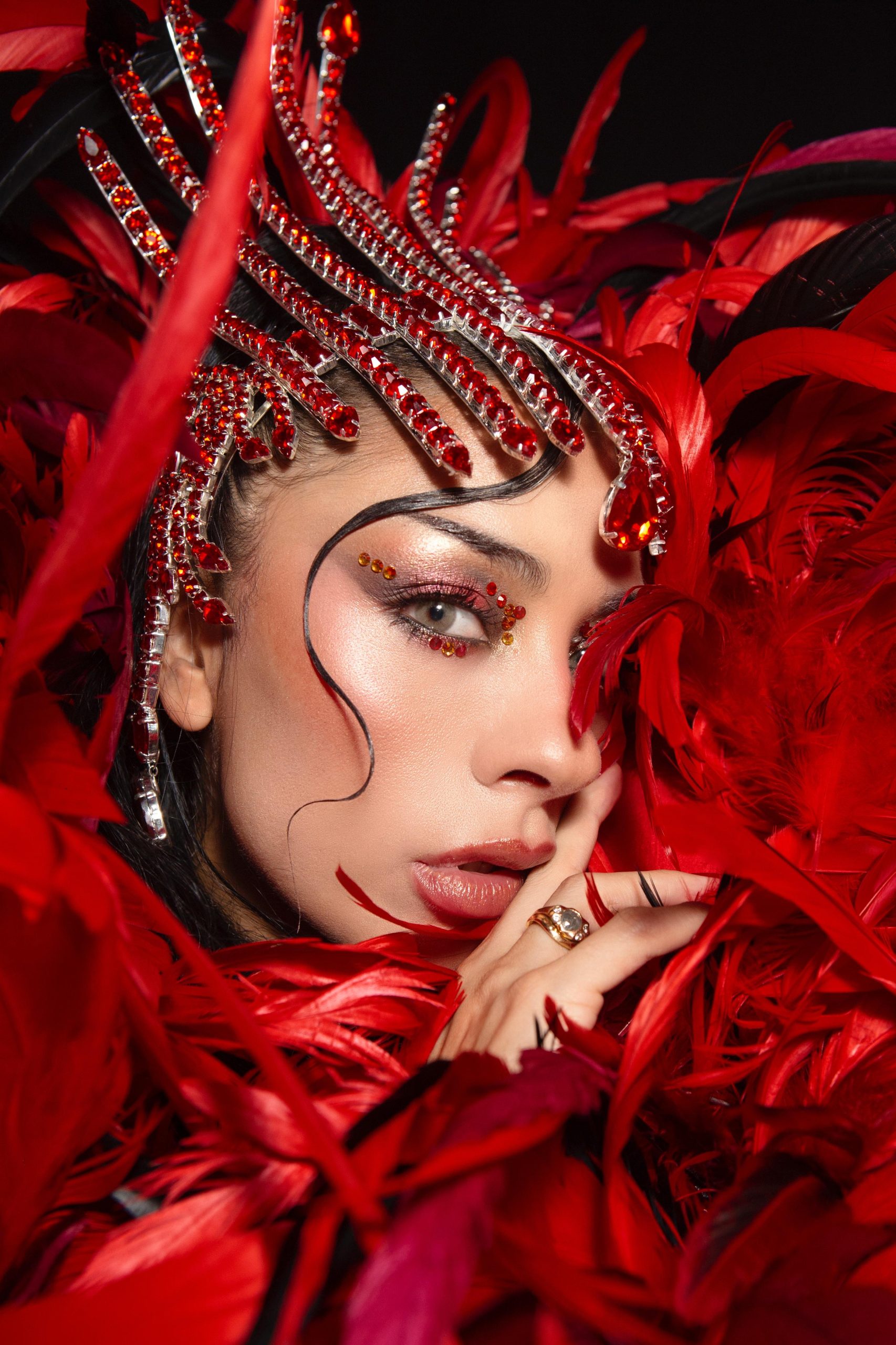 La Ramona (New Álbum)